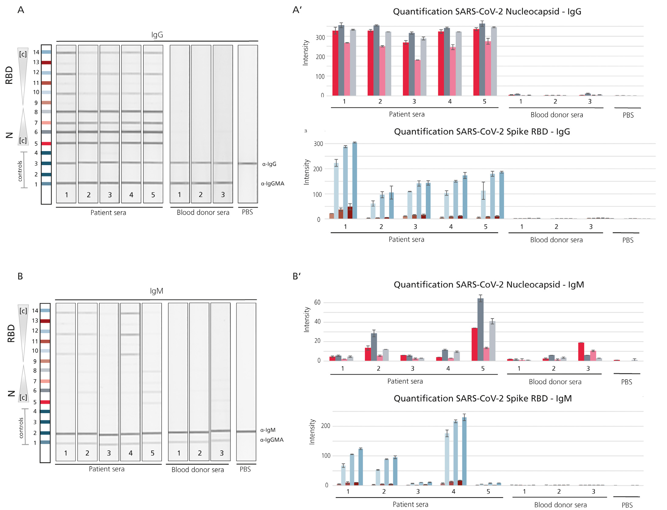   Figure 2: Comparison of DIARECT‘s Nucleocapsid (N) antigen and Spike (S) RBD antigen to respective reference products.