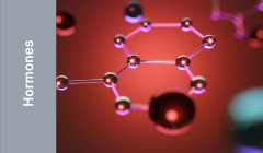 Hormones_Antigens.png