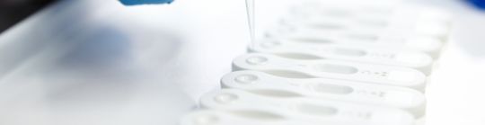 news-banner.jpg