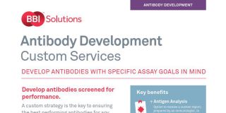 AntibodyDev5.jpg