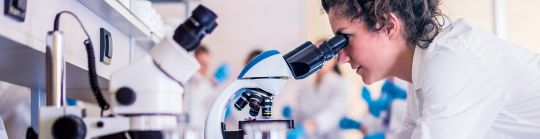 cell culture header.jpg
