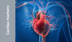 Cardiac_Antigens.png