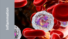 Inflammation_Antigens.png