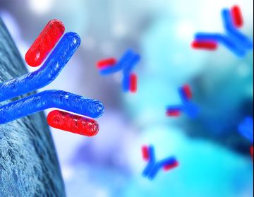 Secondary Antibodies header.jpg