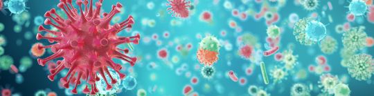 Infectous disease header.jpg