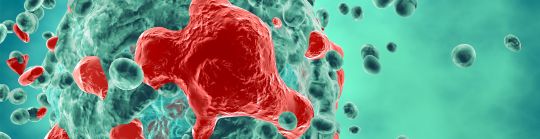 Cancer cell header 1.jpg