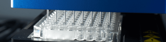 ELISA category header.png
