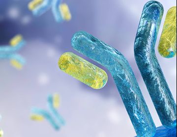Autoimmune and inflammation thumbnail.jpg