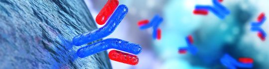 Secondary antibodies header1.jpg